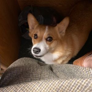 Meet your Posher, Roberta